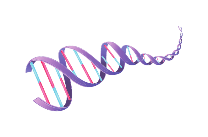 ESSENTIAL AMINO ACIDS: